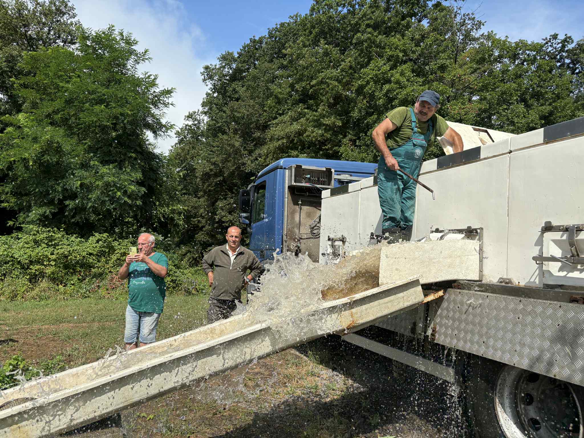 Megérkezett a nyári pontyszállítmány