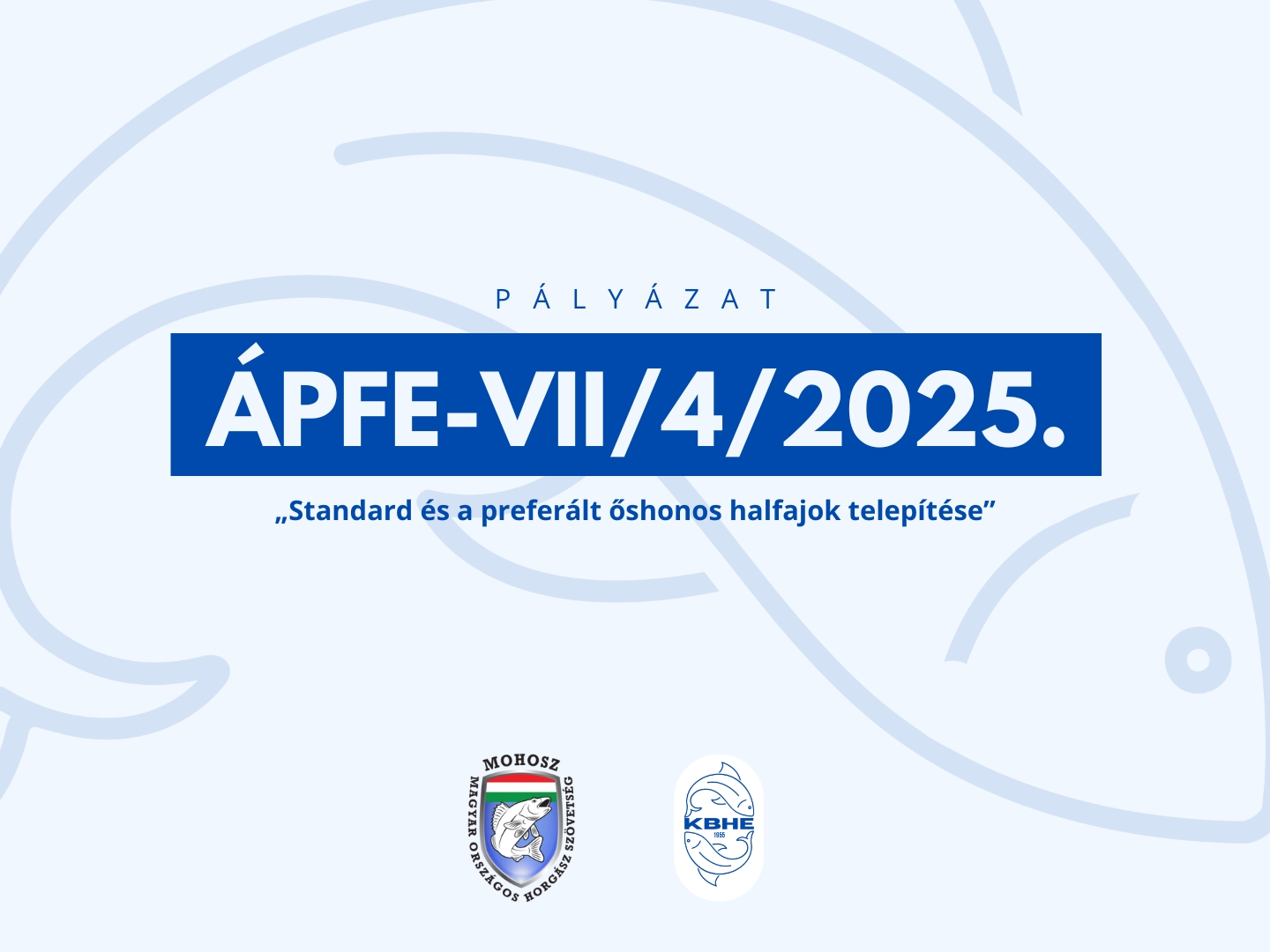 Több mázsa háromnyaras ponty csobbant