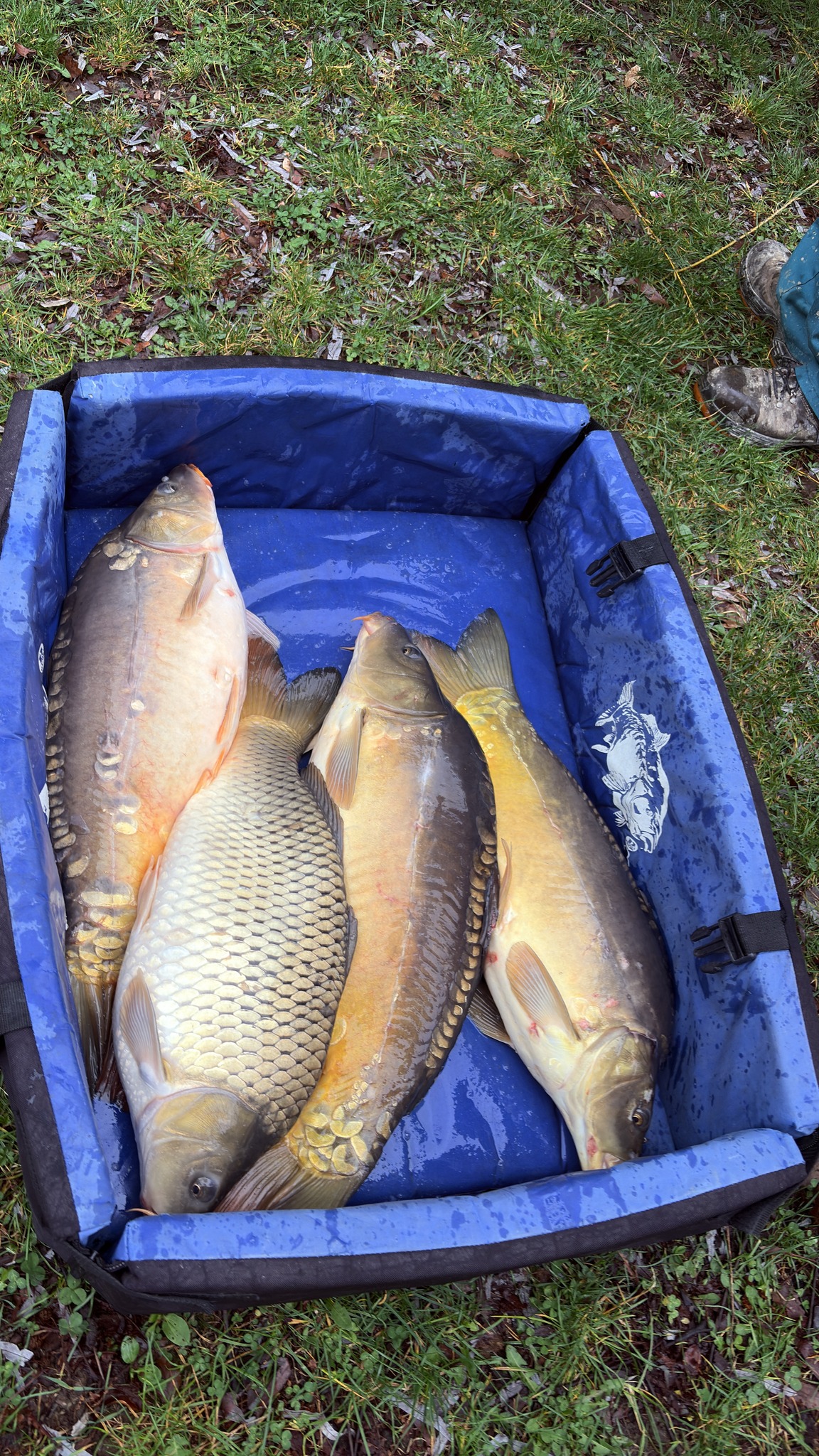 Húsvéti telepítés